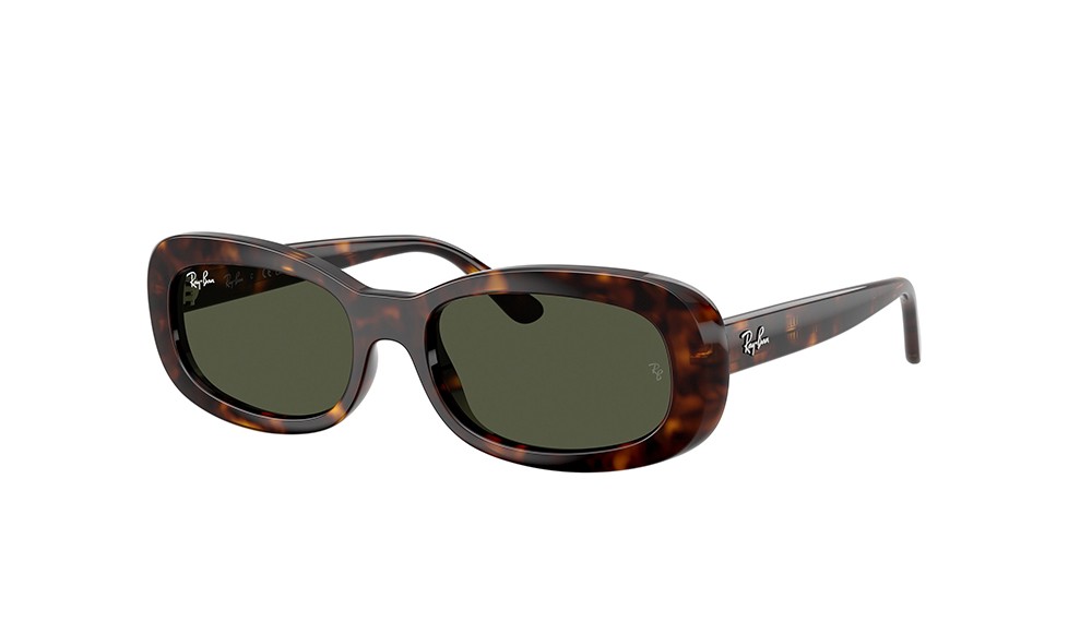  Ray-Ban RB2221-902/31