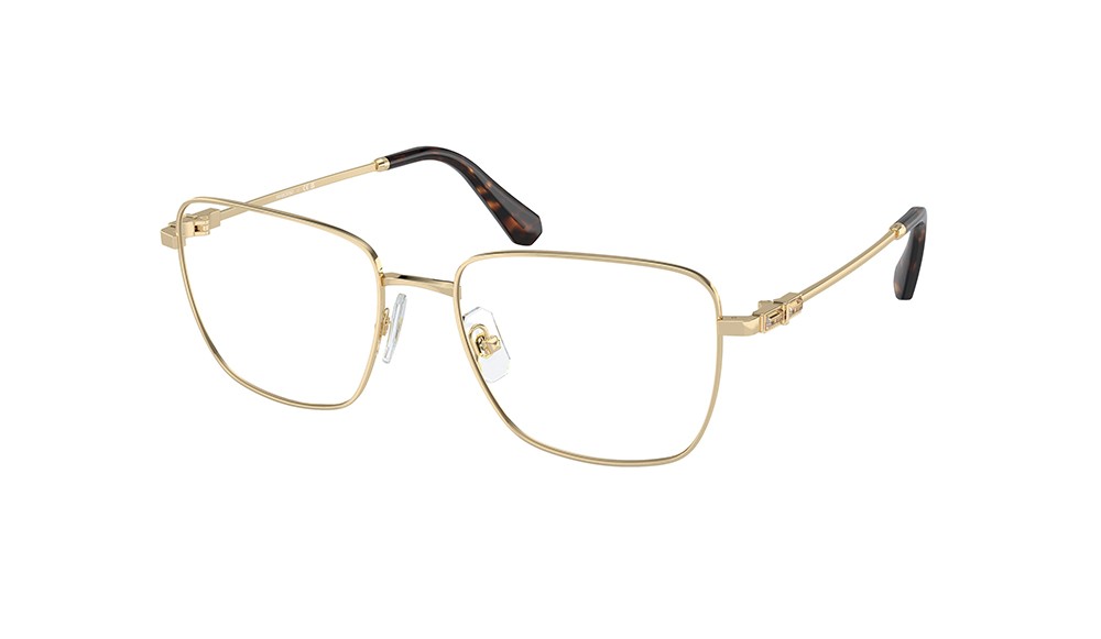  Swarovski SK1003-4013-53