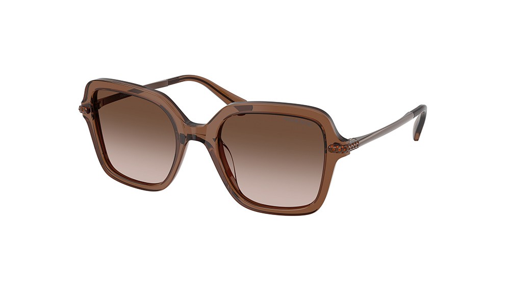 Gafas de sol Swarovski SK6040-106713