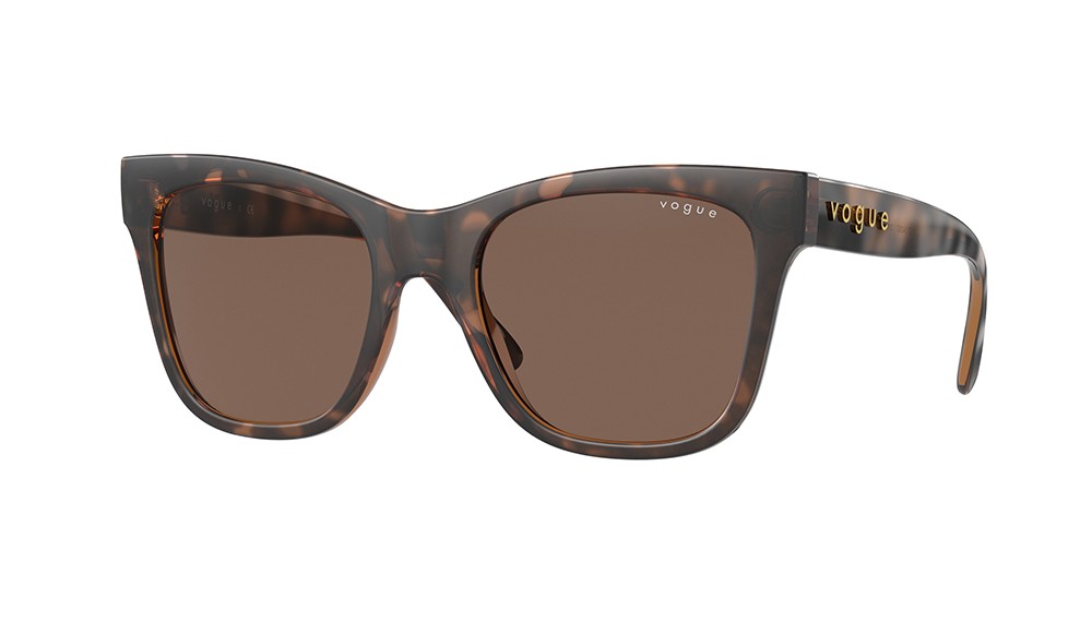 Gafas de sol Vogue VO5428S-238673