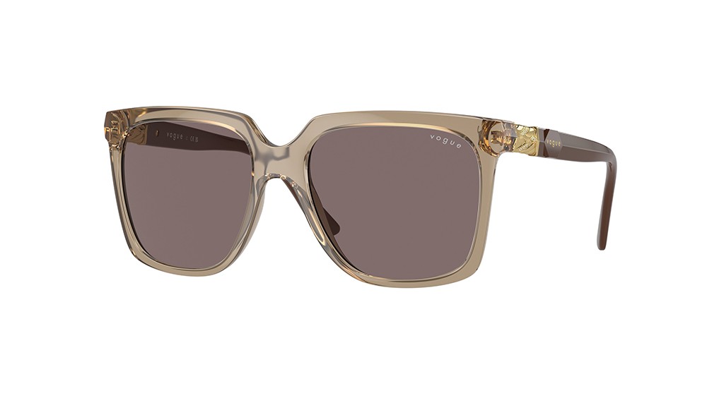 Gafas de sol Vogue VO5476SB-29407N