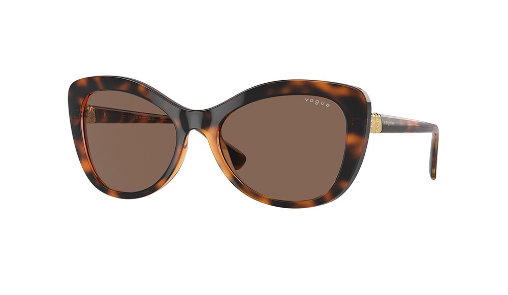 Gafas de sol Vogue VO5515SB-W65673