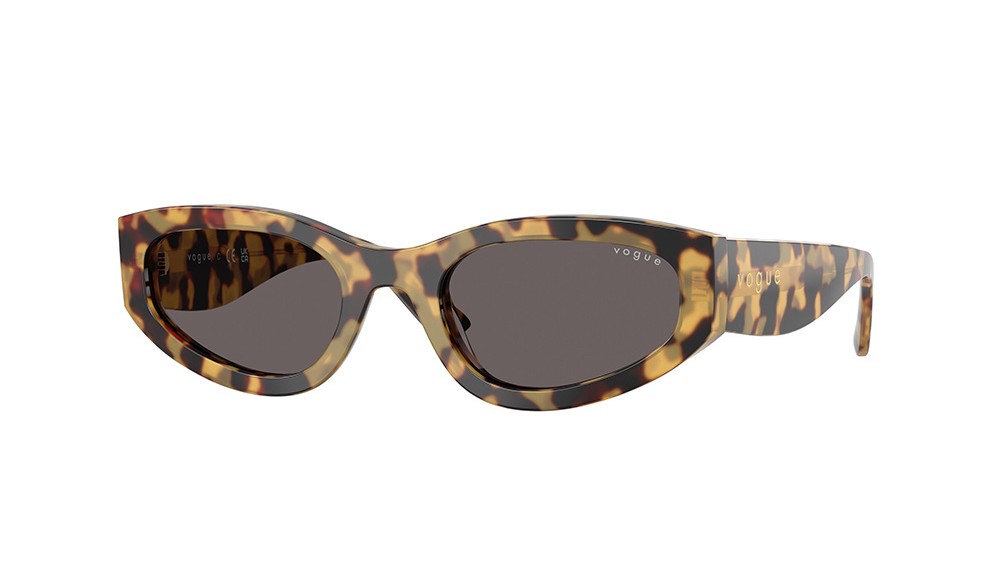 Gafas de sol Vogue VO5585S-260587