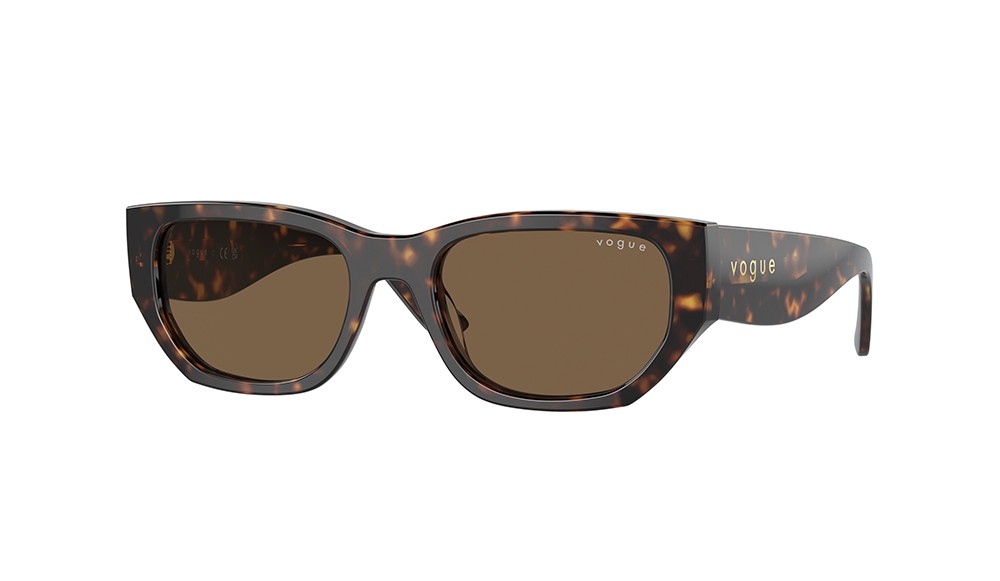 Gafas de sol Vogue VO5586S-W65673