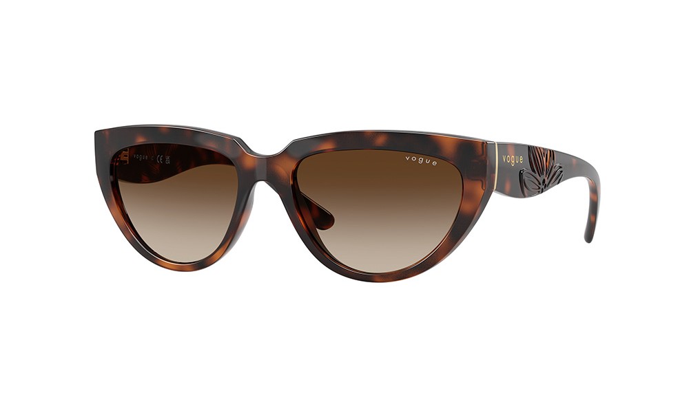 Gafas de sol Vogue VO5629S-271813