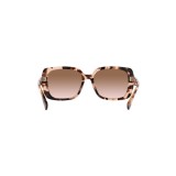 Gafas de sol Ralph Lauren RA5298U-605813