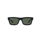  Ray-Ban ® Warren RB4396-667771