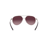 Gafas de sol Michael Kors MK1041-11088H