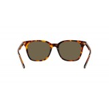 Gafas de sol Polo PH4187-5309/3