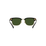 Gafas de sol Polo PH4202-500171
