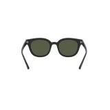  Ray-Ban ® RB4324-601/31