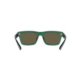  Ray-Ban ® Warren RB4396-6681/3