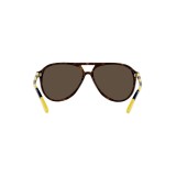 Gafas de sol Polo PH4173-500373